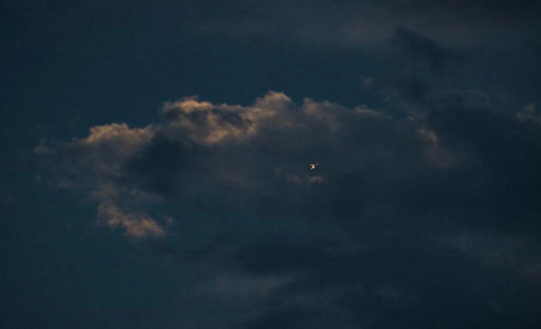 了解 OEE 及其误区，优化工业绩效