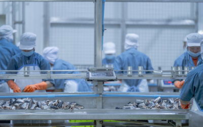 工厂 4.0:如何通过 4 个简单步骤开始转型