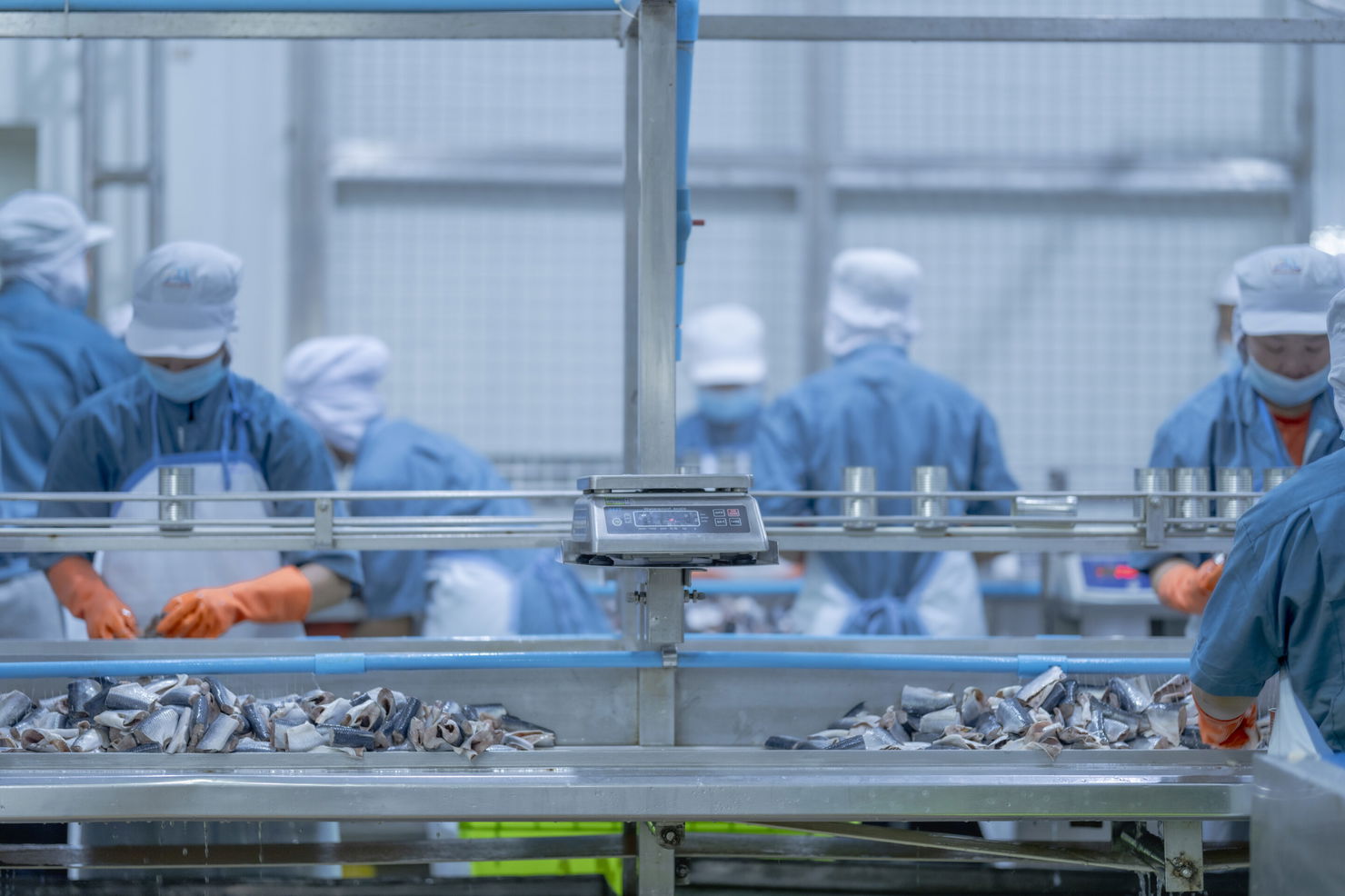Workers handling seafood on an assembly line in a food processin Opératrice sur une ligne de production industrielle contrôlant la qualité des écrans dans une usine 4.0