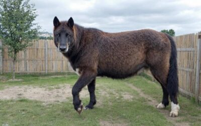 Verstehen und Verbessern einer 75% OEE in der industriellen Produktion