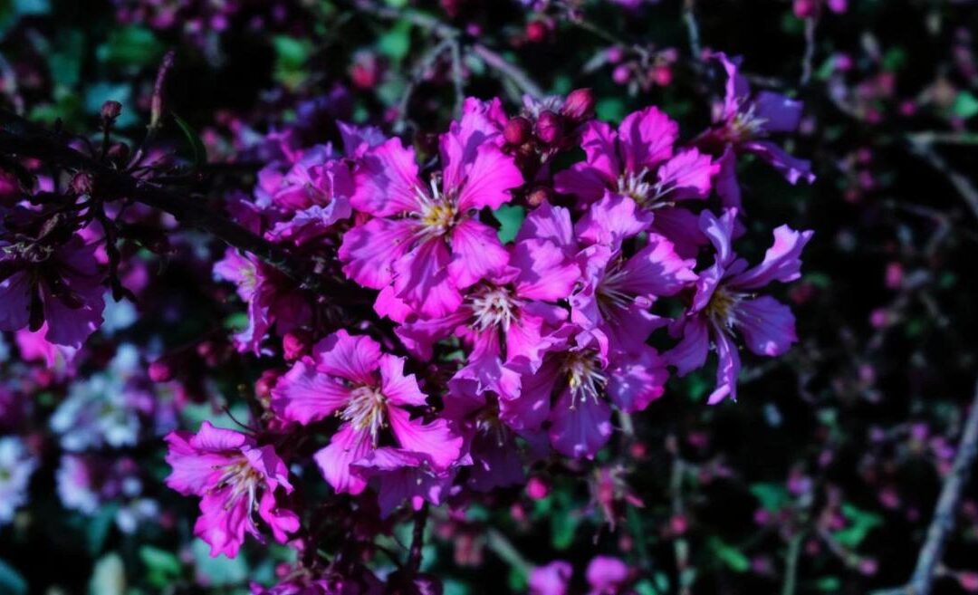 Optimisez vos Performances avec les Outils d&rsquo;Automatisation OEE